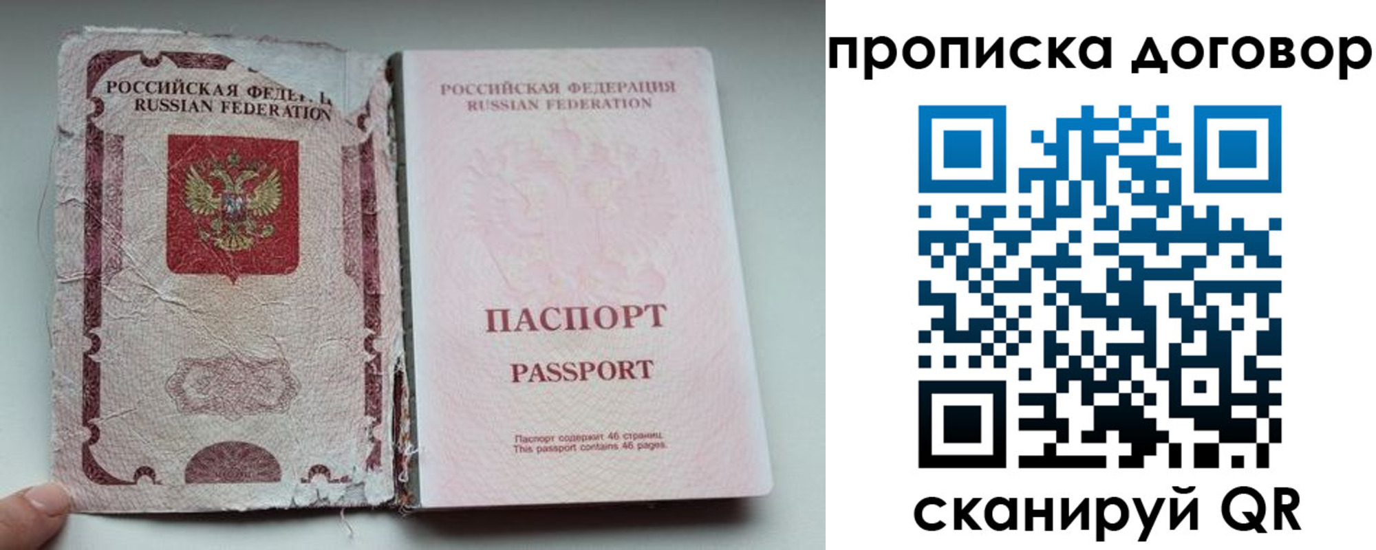 прописка поиск в Заозёрске
